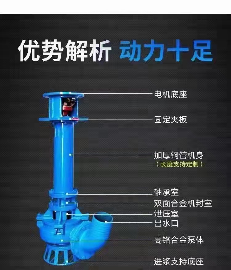 YZ型立式(shi)抽沙泵